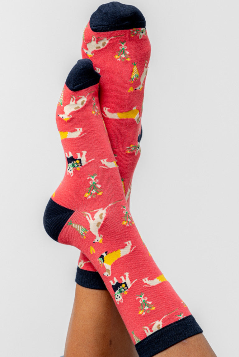 Daisy Dog Socks and Keyring Giftbox