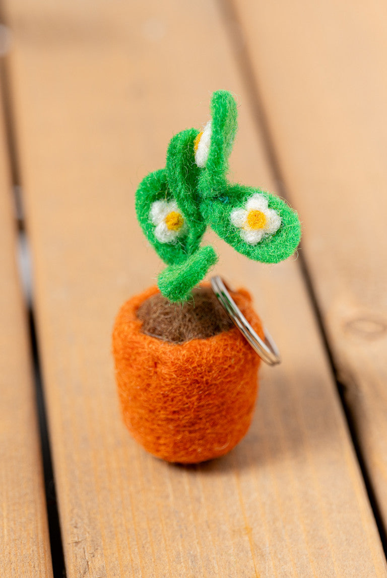 Gardening Socks & Keyring Giftbox